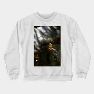 Star Finch Sentry Crewneck Sweatshirt